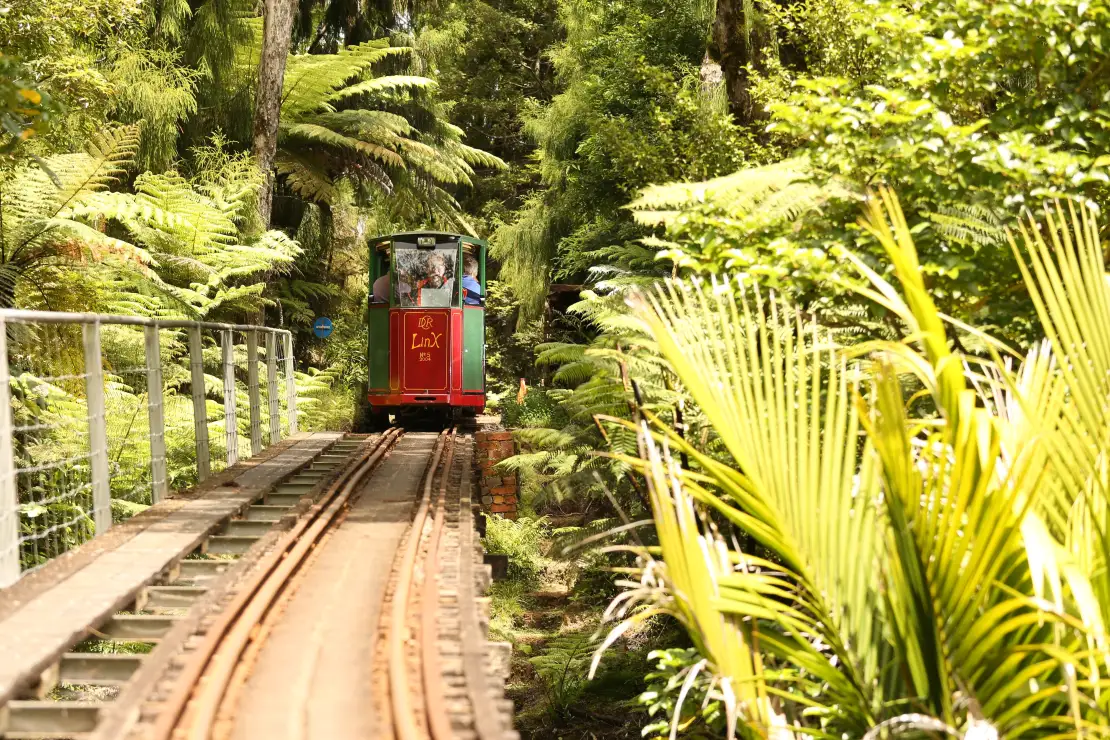 Relax and enjoy mountain views on the scenic Driving Creek Railway ride